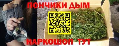 мдпв Новозыбков