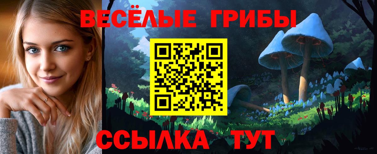 Псилоцибиновые грибы GOLDEN TEACHER Пушкино