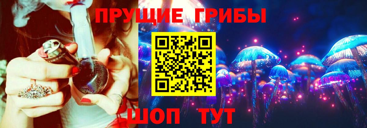 Пушкино  Псилоцибиновые грибы Psilocybine cubensis  Вход с VPN 
